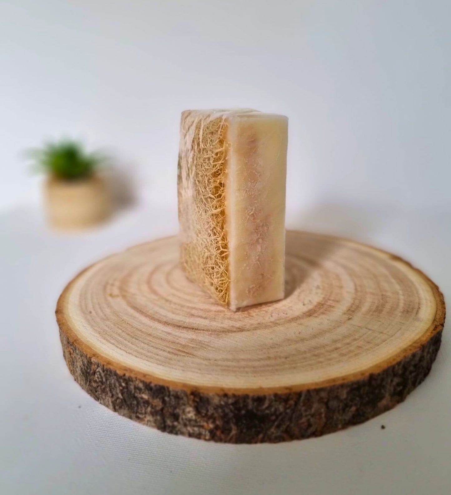 HAUTGOLD - pure Edelmilch - Seife