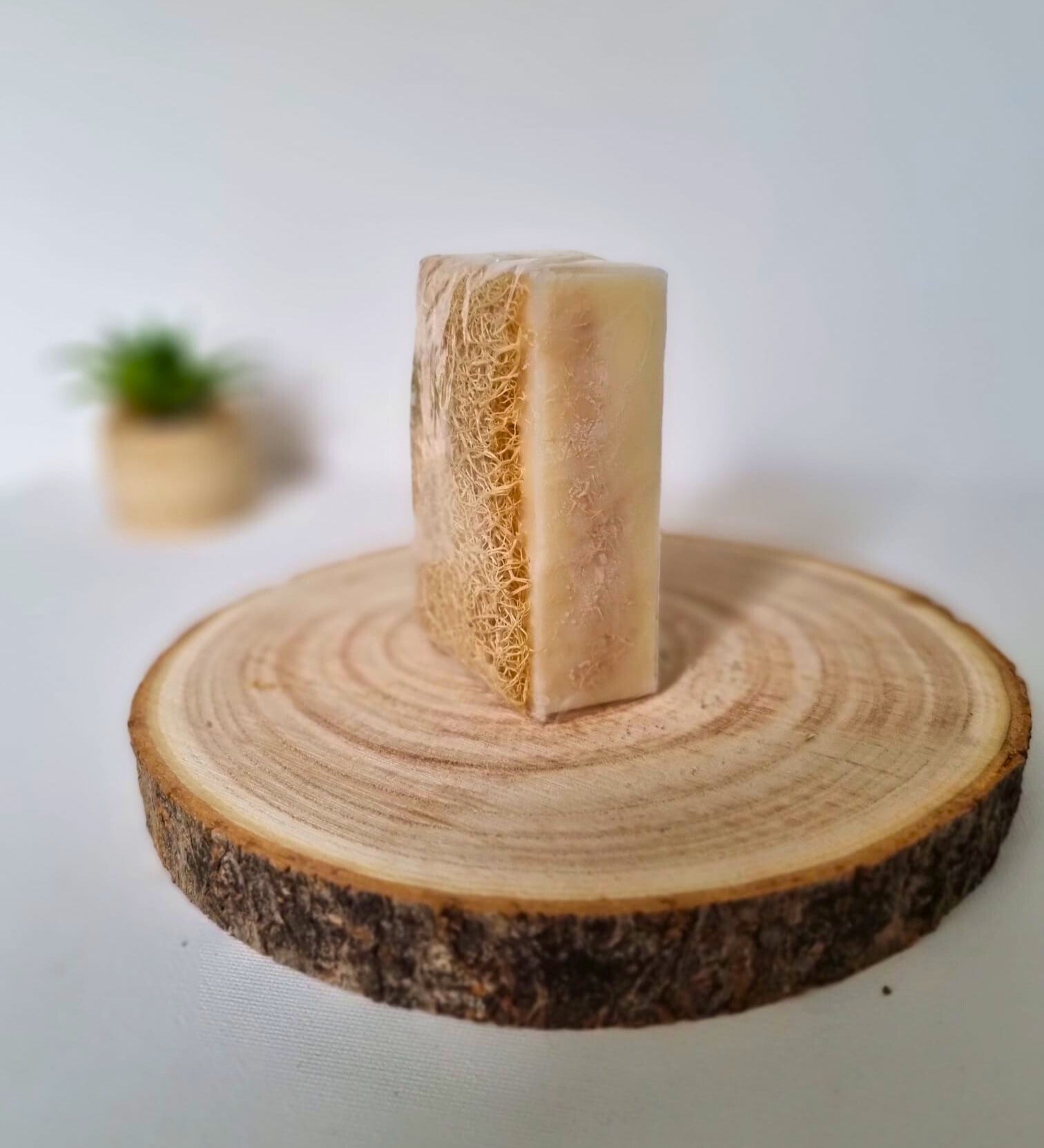 HAUTGOLD - pure Edelmilch - Seife